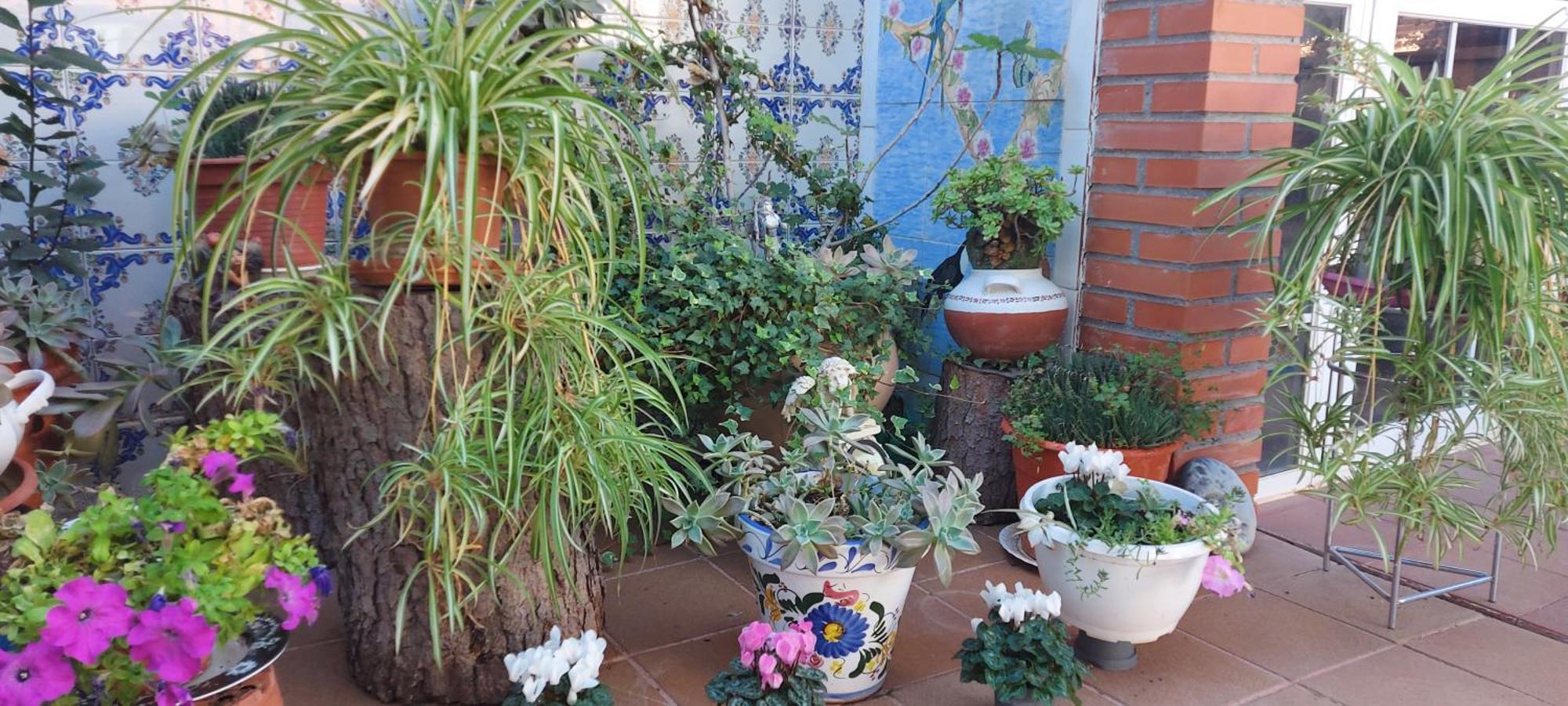 Habitacion,Piscina Y Jardin Azuqueca de Henares Exteriér fotografie
