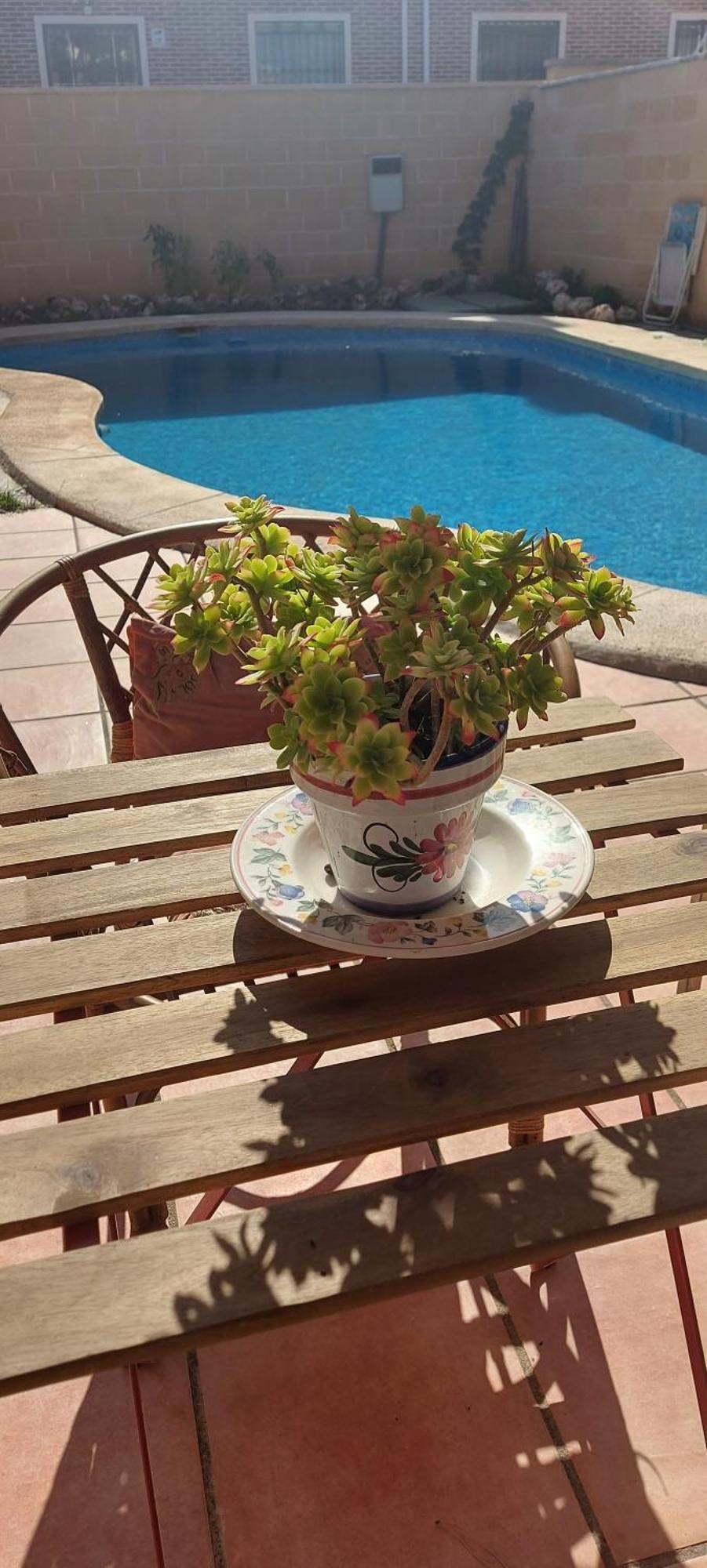 Habitacion,Piscina Y Jardin Azuqueca de Henares Exteriér fotografie